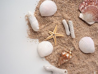 夏のビーチのイメージ（砂浜、貝殻、ヒトデ、サンゴ）