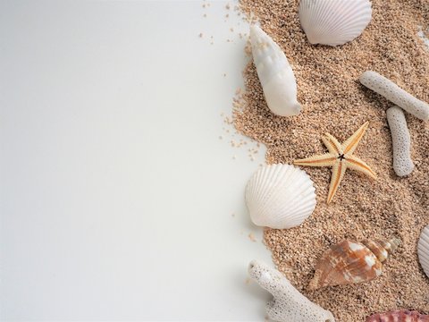 夏のビーチのイメージ（砂浜、貝殻、ヒトデ、サンゴ）