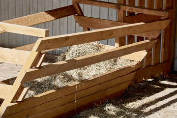 Stack hay in feeder for horses.
