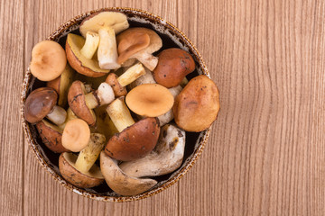 mushrooms on the table. mushrooms closeup