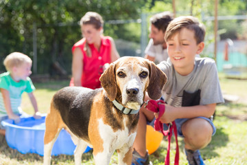 Young boy petting dog in animal shelter