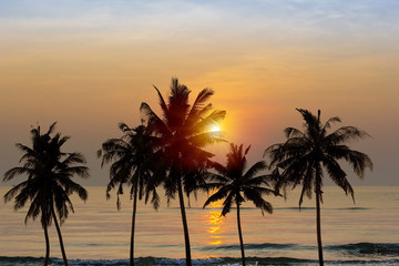 Naklejka na ściany i meble Coconut trees at beach
