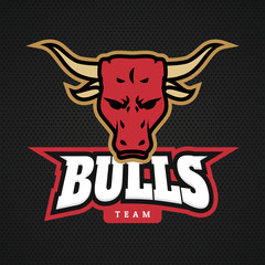 Modern professional bull logo for a sport team. Vector logo on a dark background.