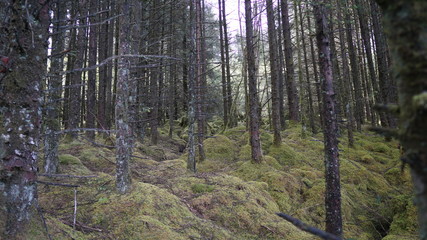 Marble Arch Caves Global Geopark,Ireland,Fermanagh