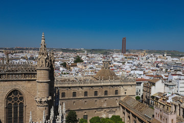Fototapeta premium Cathedral La Giralda at Sevilla Spain - architecture background .