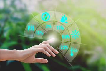 Smart farming, futuristic agriculture concept : farmer can monitoring monitoring rainfall,...