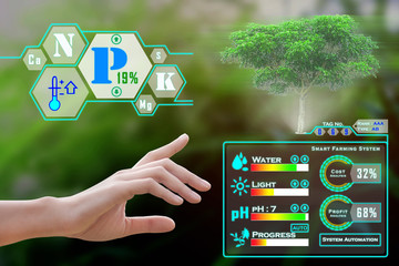 Smart farming, futuristic agriculture concept : Farmer can monitoring all situation, cost anylysis, profit and loss on one finger click and with immersive experience on digital holographic screen 