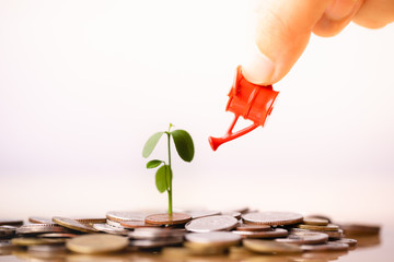 Woman hand holding red watering can with  money stack and seedling on top. Watering can and money...