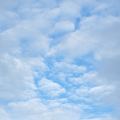 skies