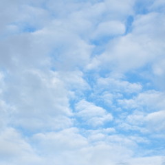skies