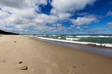 Baltic sea. Kaliningrad. Curonian spit. It's spring.