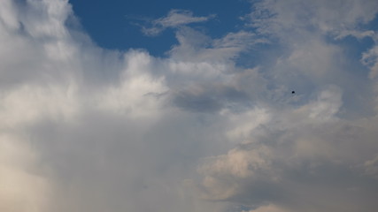 skies