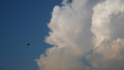 skies