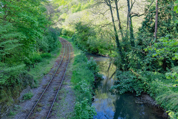 Looe Valley Rail Line