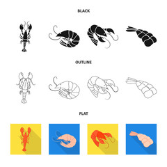 Isolated object of appetizer and ocean icon. Set of appetizer and delicacy stock symbol for web.