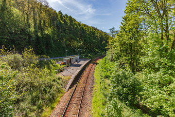 Fototapeta na wymiar Looe Valley Rail Line