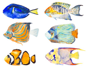 Fototapeta premium Watercolor ocean set. 6 elements isolated on white background for postcard, textile, background, wallpaper and any other design.