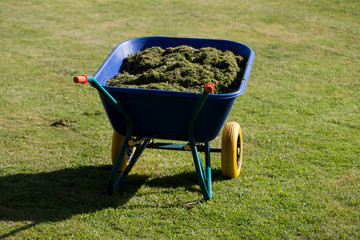 wheelbarrow in the garden - 269039410