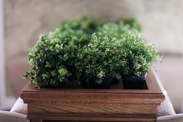 Small pots with homemade flowers. Close-up