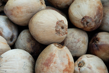 Close up to the details brown old coconut piles for making coconut milk and natural background