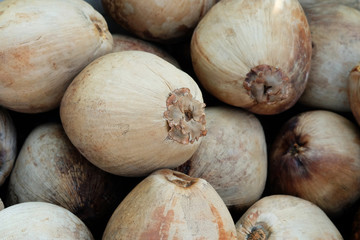Close up to the details brown old coconut piles for making coconut milk and natural background