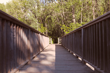 Symmetrical perspective of a Wooden Bridge in the park