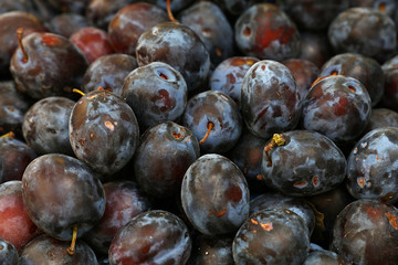 Fresh ripe blue plums close up at farmers market