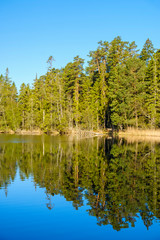 Fototapeta na wymiar Forest lake with reflections in the water