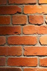 Brick style tile wall spotlight