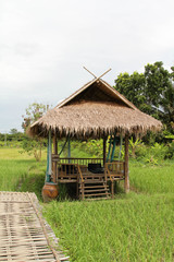 Fototapeta na wymiar Bamboo hut on the green paddy rice field.
