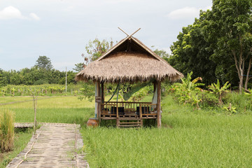 Fototapeta na wymiar Bamboo hut on the green paddy rice field.