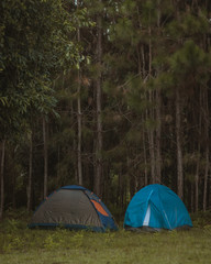 tent in the forest