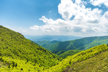 Panoramic view of idyllic mountain scenery with fresh green meadows and forests on a beautiful sunny day in springtime
