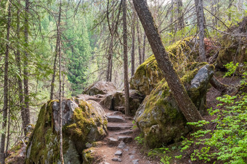 View at Trail in Park. Vancouver, Canada.