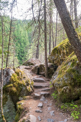 View at Trail in Park. Vancouver, Canada.
