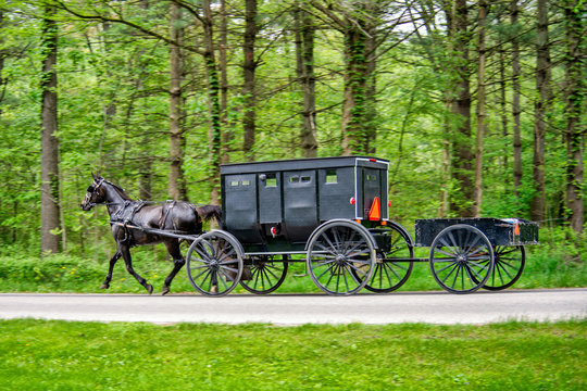 Amish Horse and Buggy with Wagon