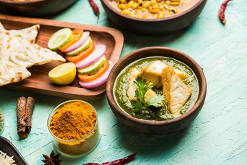 Palak Paneer curry is a popular North Indian recipe for lunch/dinner made using cottage cheese in green spinach curry. usually served with Rice and chapati/naan. selective focus