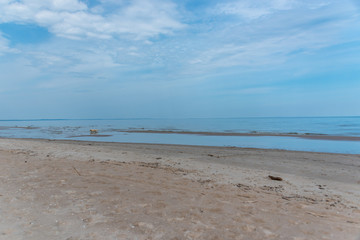 Fototapeta na wymiar Empty Beach on the Baltic Sea Coast of Latvia on a Sunny Day