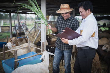 Veterinarians advise farmers to raise sheep and goats; Caring and supporting farmers and providing funding for farm