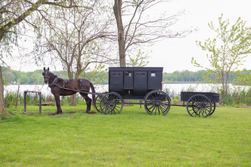 Fototapeta na wymiar Amish Buggy with Wagon Hitched to Rail