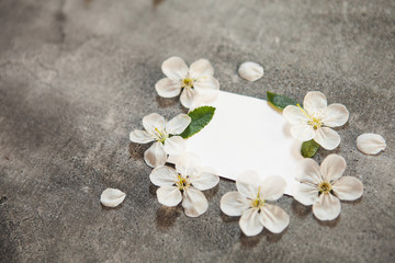 Fototapeta na wymiar on a beautiful grey concrete table background, white wild cherry flowers and a white plate to insert text. For logo design
