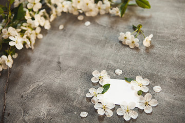 Obraz na płótnie Canvas on a beautiful grey concrete table background, white wild cherry flowers and a white plate to insert text. For logo design