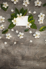 on a beautiful grey concrete table background, white wild cherry flowers and a white plate to insert text. For logo design