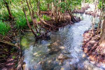 Tha Pom Klong Song Nam - Krabi Thailand