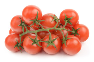 Tomatoes
