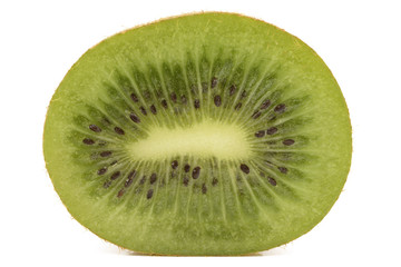kiwi on white background