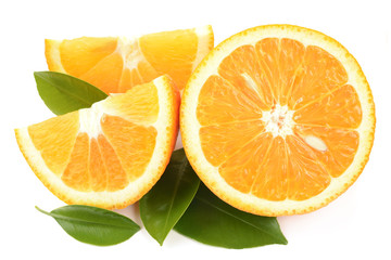 Oranges on white background