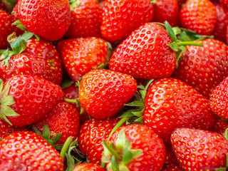 Fresh organic Strawberry fruit background Top view closeup