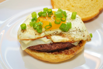 Fried Egg On Top of a Cheese Burger with Fresh Scallion