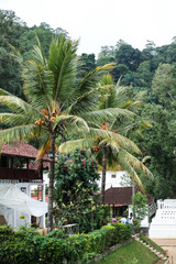 Fototapeta na wymiar Small tropical village in Sri Lanka
